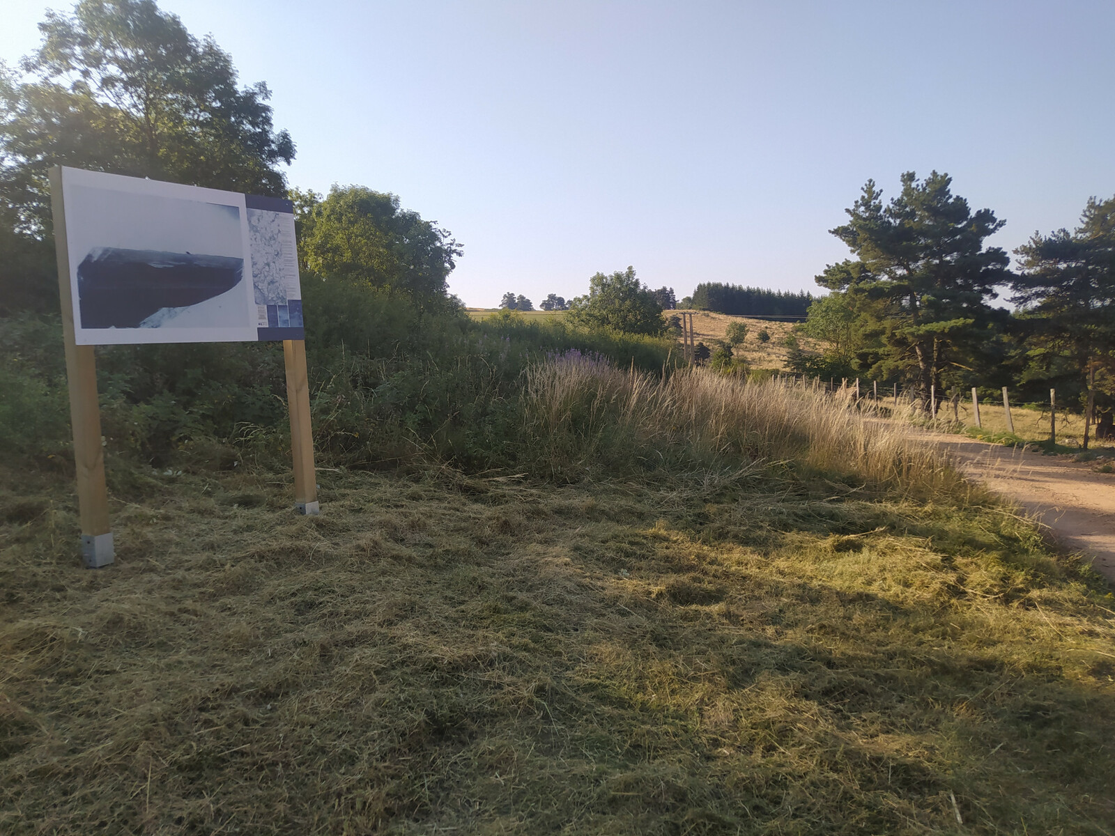 Description de l'image